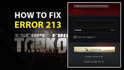 error code 213 tarkov