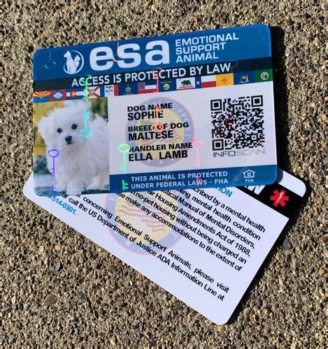 esa support number
