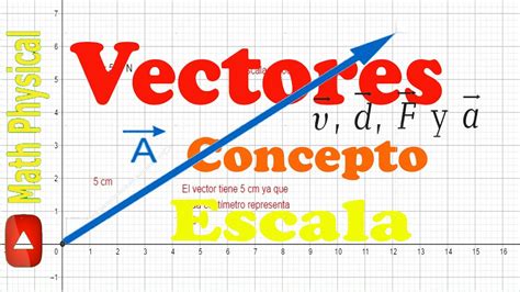 VECTORES