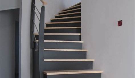 Escalier Avec Contremarche Peinte Décoration En Quelques Idées à Emprunter