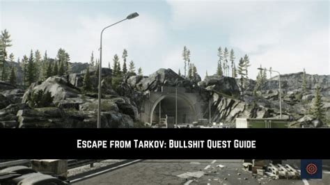 escape from tarkov bullshit