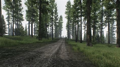 escape from tarkov woods wallpaper