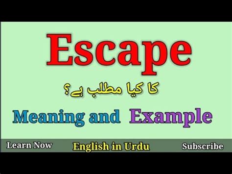 escape the ordinary meaning in urdu with example pdf