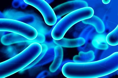 escherichia coli esbl in urine