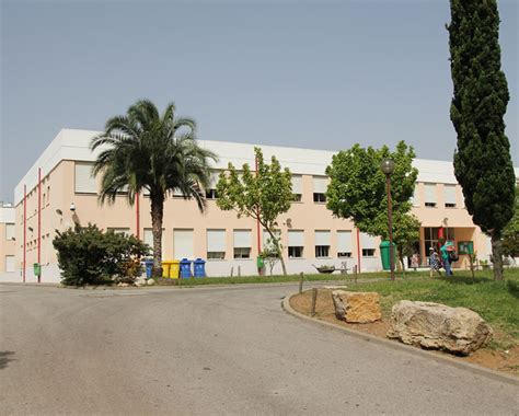 escola miguel torga sintra