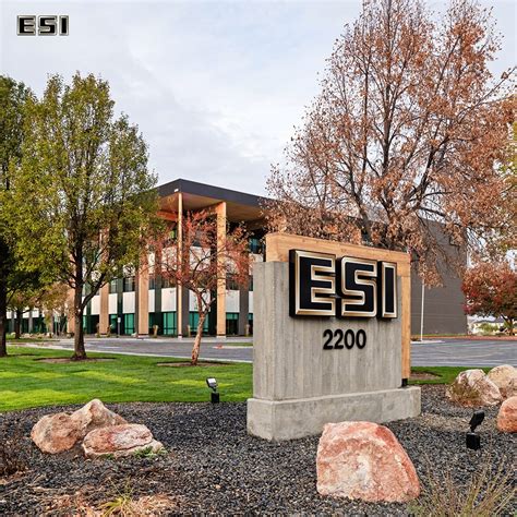 esi boise