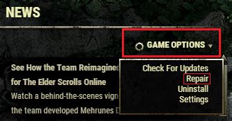 eso has stopped working fix