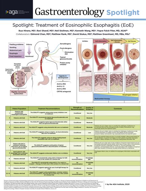 esophagitis treatment surgery