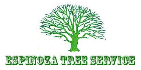espinoza tree service houston texas