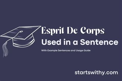 esprit de corps used in a sentence