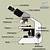 esquema del microscopio optico