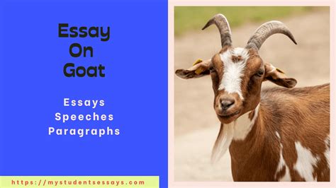 essay on goat for kids