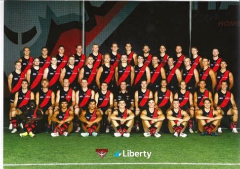 essendon afl team