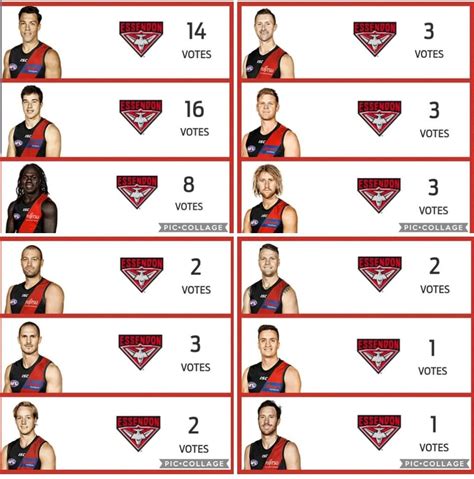 essendon football club membership numbers