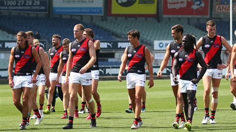 essendon latest news