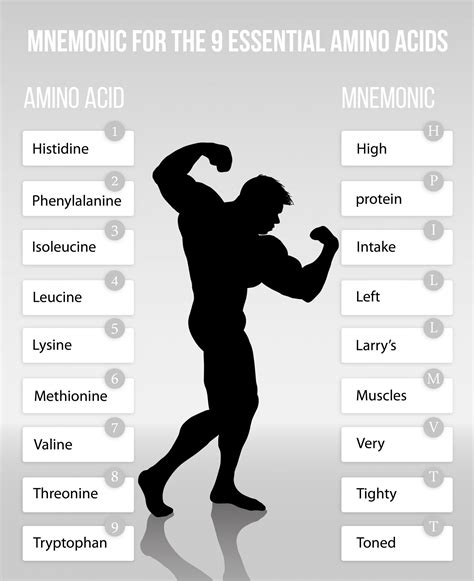 Essential Amino Acids Mnemonic YouTube