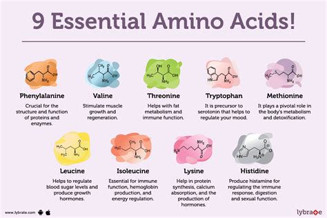 Essential Amino Acids Structure And Function