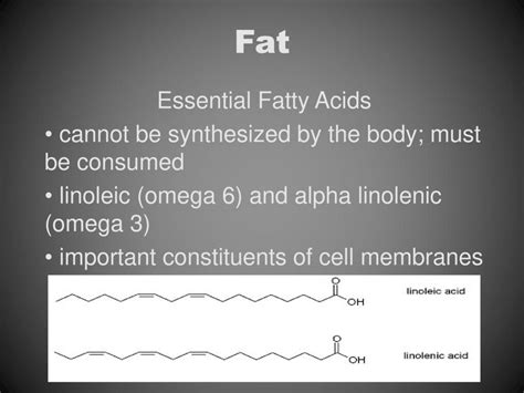 Essential Fatty Acids Cannot Be Synthesized In The Body