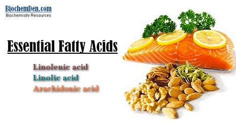 Essential Fatty Acids Names