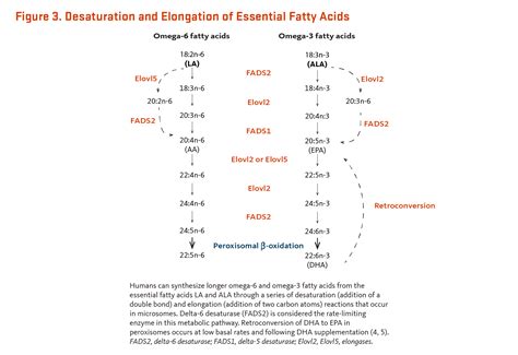 Essential Fatty Acids Questions