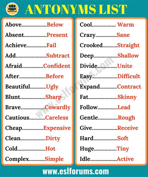 essential meaning in english antonyms