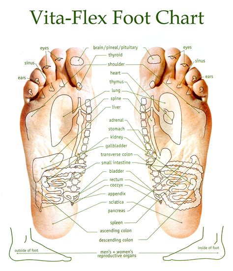 Essential Oil Foot Chart