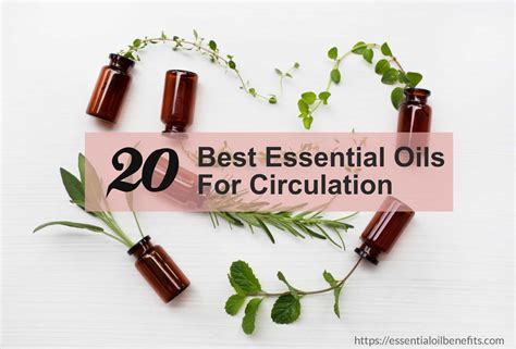 essential oil for circulation