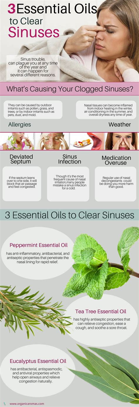 essential oil for sinuses