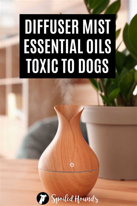 essential oil safe for dogs diffuser