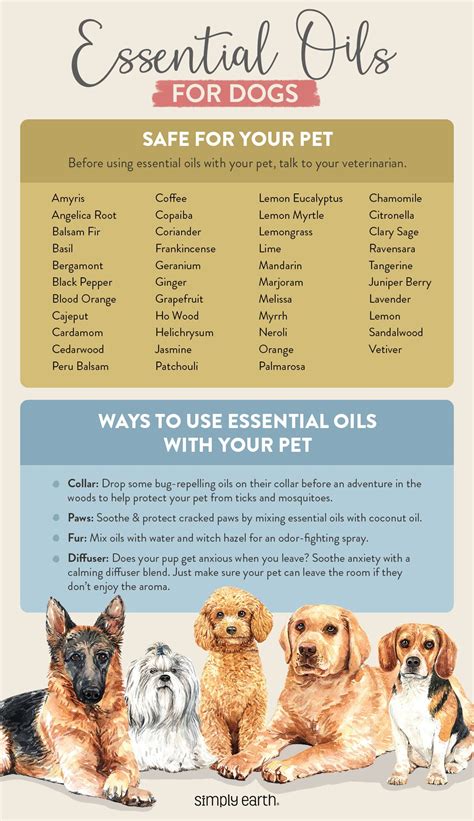 Essential Oils Around Dogs