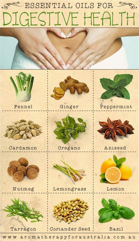 essential oils digestion