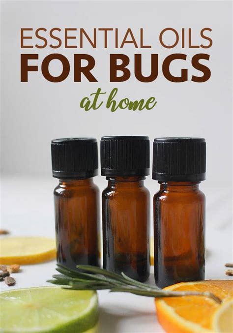 essential oils for pest control