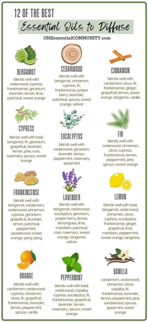 Essential Oils To Diffuse For Clean Smell
