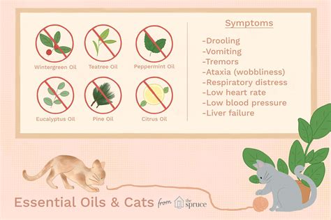 Essential Oils Toxic To Cats When Diffused