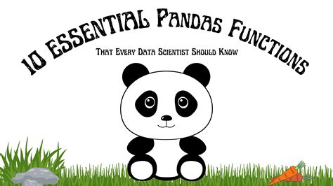 essential pandas functions