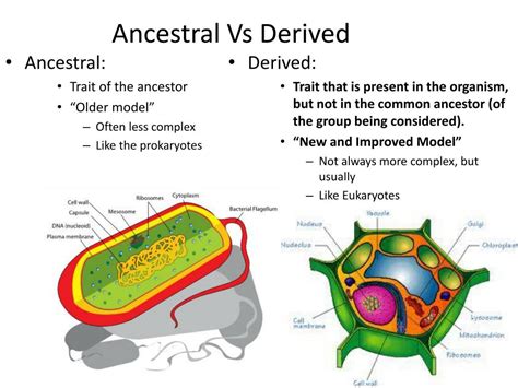 essential state and derived state