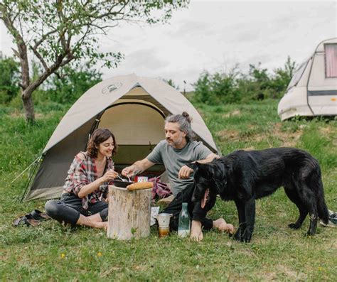 Essentials For Camping With A Dog