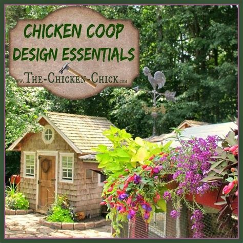 Essentials For Chicken Coops