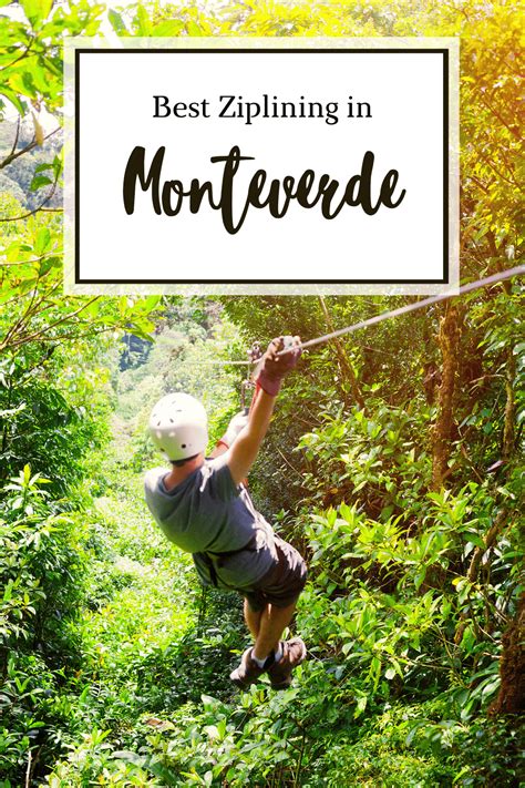 essentials ziplining