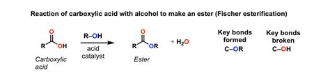 ester + carboxylic acid