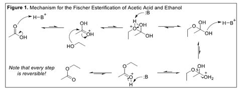 esterification of acetic acid with ethanol