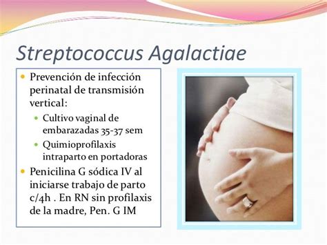 estreptococo agalactiae tratamiento embarazo