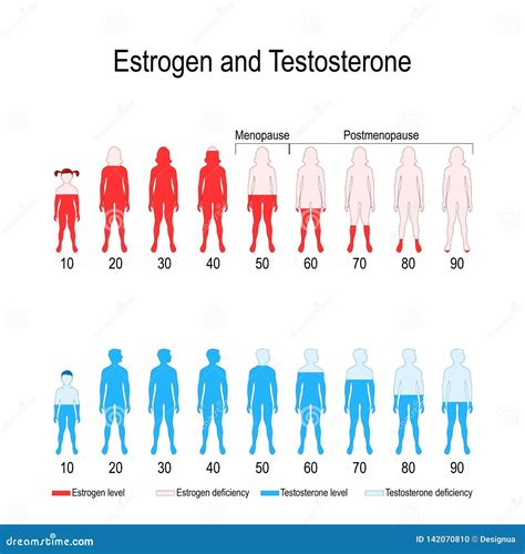 Estrogen Balance Table