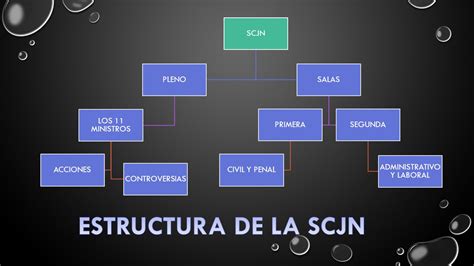 estructura de la scjn