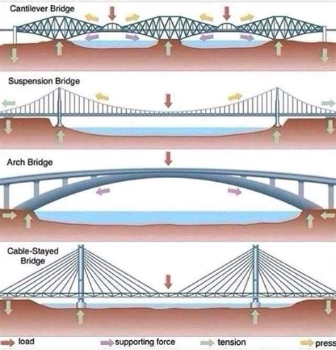 estructura de los puentes