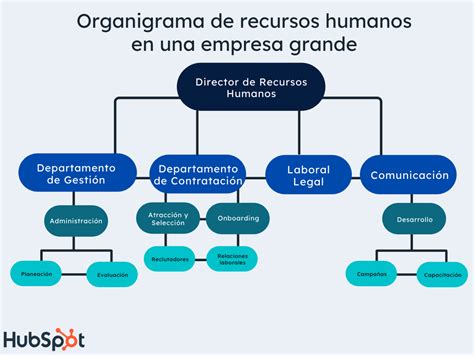 estructura del departamento de capital humano