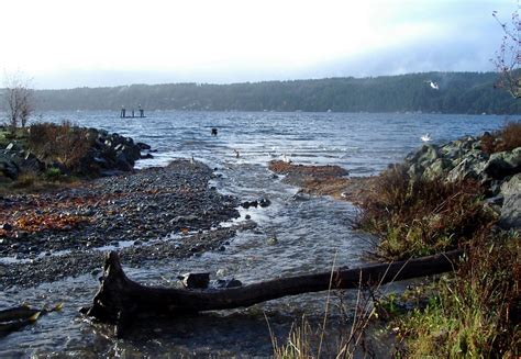 Hood Canal and Lynch Cove U.S. Geological Survey