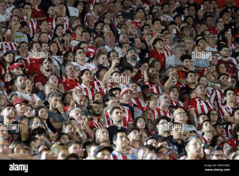 Trending Now: How Much Is Negrotti Classy Fans in 2026