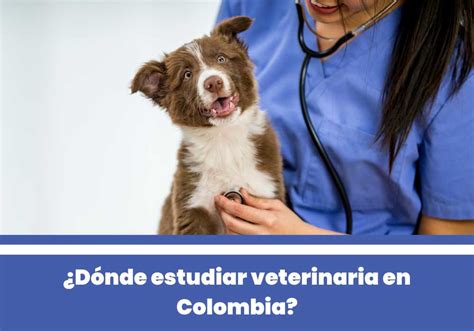 estudiar veterinaria en colombia
