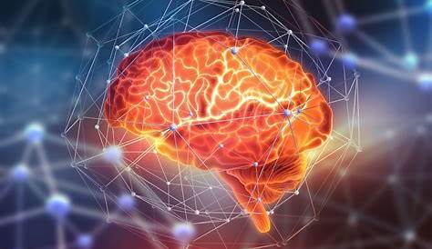 Neuropsicología: una ciencia enfocada en el cerebro